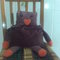 10989f0edd784cd6ffd39d2c93ad787bc9450a91_grid