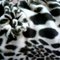 A22d4178c81c712a58a39b6661ab5d550aebb8e0_grid