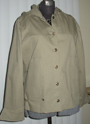 009f98c72edc0d7bd72f67d350caf5c16b3256bb_large