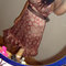 1bf197294ed5d3027bb9ca2d68fb1e3338a9616f_grid