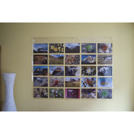 Cbee4ba18c846ab83bb5ad540f03175b322c11b3_listing