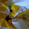 C43be9e2c1253287c5c9cb1e3dcb485e8ca32773_grid