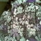738ec4c9d8c350cf68289ee670844d31c853de32_grid