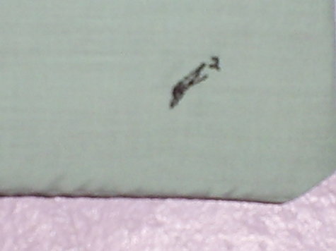 B6d2f6c01e9ad945c028b1e0e24571b32b0cc67f_large