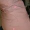 940aed438120a8c5b25fa46804634247528d19e3_grid