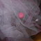 1fc79dcede9be4413b80e01565676ec36a835692_grid