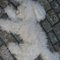A4ec2def4e81b999f2a3c372b0df8a23bfc7895c_grid