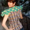 A0f01732fc229494bbcc46e3f83c2da60388c0cf_grid
