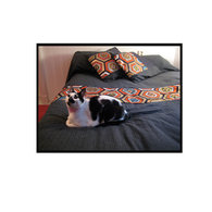 De61dfccdfd3da1e2c6cc76a74d8d251ddf576fd_listing