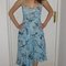 Bluedress4_grid
