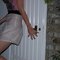 82ed365b7cd5666722d0bce0a1bd10d103a13ec1_grid