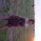 6fa038fce9ba6b351b3a82543d9614c03d7f8996_grid