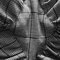 25a0d78362389938e959afb57b78fbe2b80566d8_grid