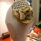 Hat3_grid