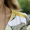 Shoulderseam_grid