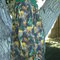 Rachellespics_1032_grid