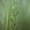 Dscn2631_grid