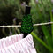 Img_0931_grid