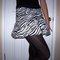 Zebraskirtfront2_grid