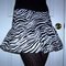 Zebraskirtfront_grid