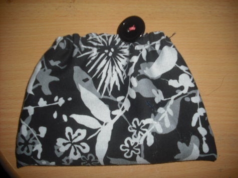 Dscf2088_large