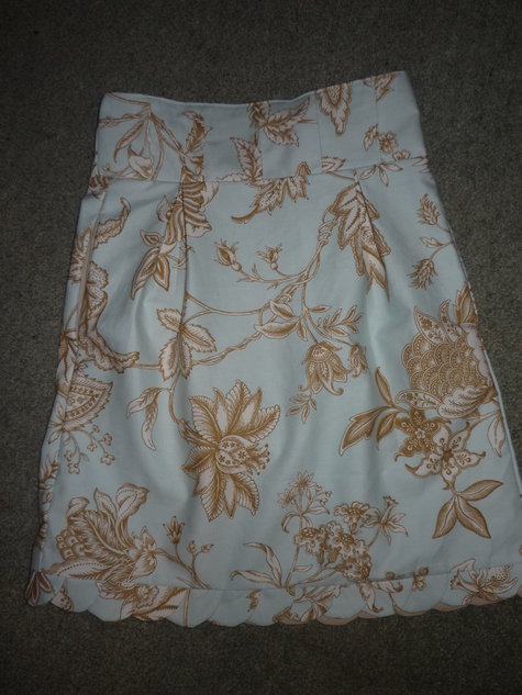 Skirt_002_large