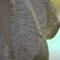 Dsc_2327_nef_grid