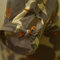 Dsc_2317_nef_grid