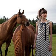 Chevron_dress_listing