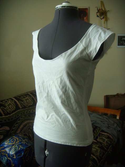 Dscn3998_large