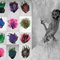 Feathers_grid