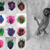 Feathers_listing