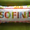 Sofina_2_grid