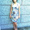 Zdj_cie204_grid