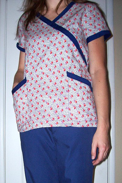 5dollarscrub3_large
