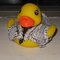 120909_019_grid