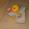 120909_012_grid
