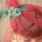Strawberry_grid