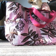 Rasp_scone_tote_02_listing