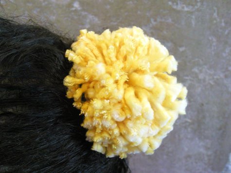 Pom_large