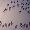 Dsc00118_grid