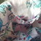P9200038_grid