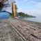 Rutig_liz_2_grid
