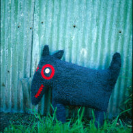 20090809_009_listing