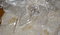 Sdc10166_grid