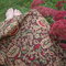 Dsc09935_grid