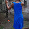 Bluedressback_grid