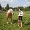 286_grid