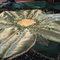 Dsc00186_grid