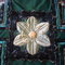 Dsc00184_grid